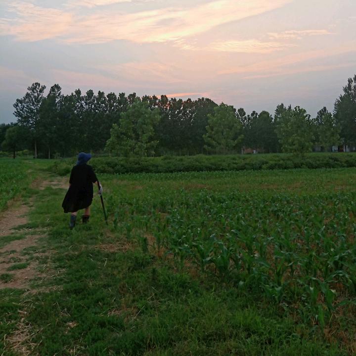 清修大师