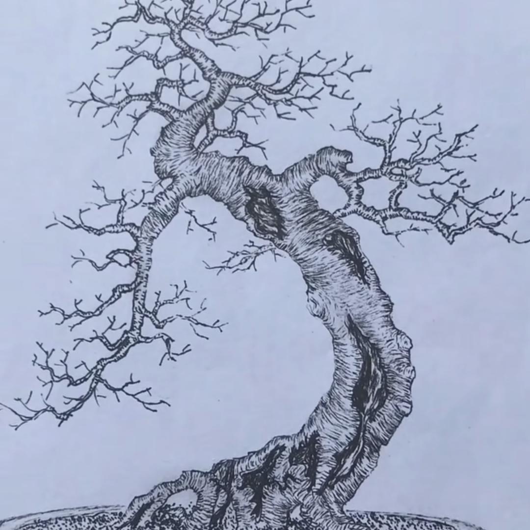 畅园小盆景（阿畅）