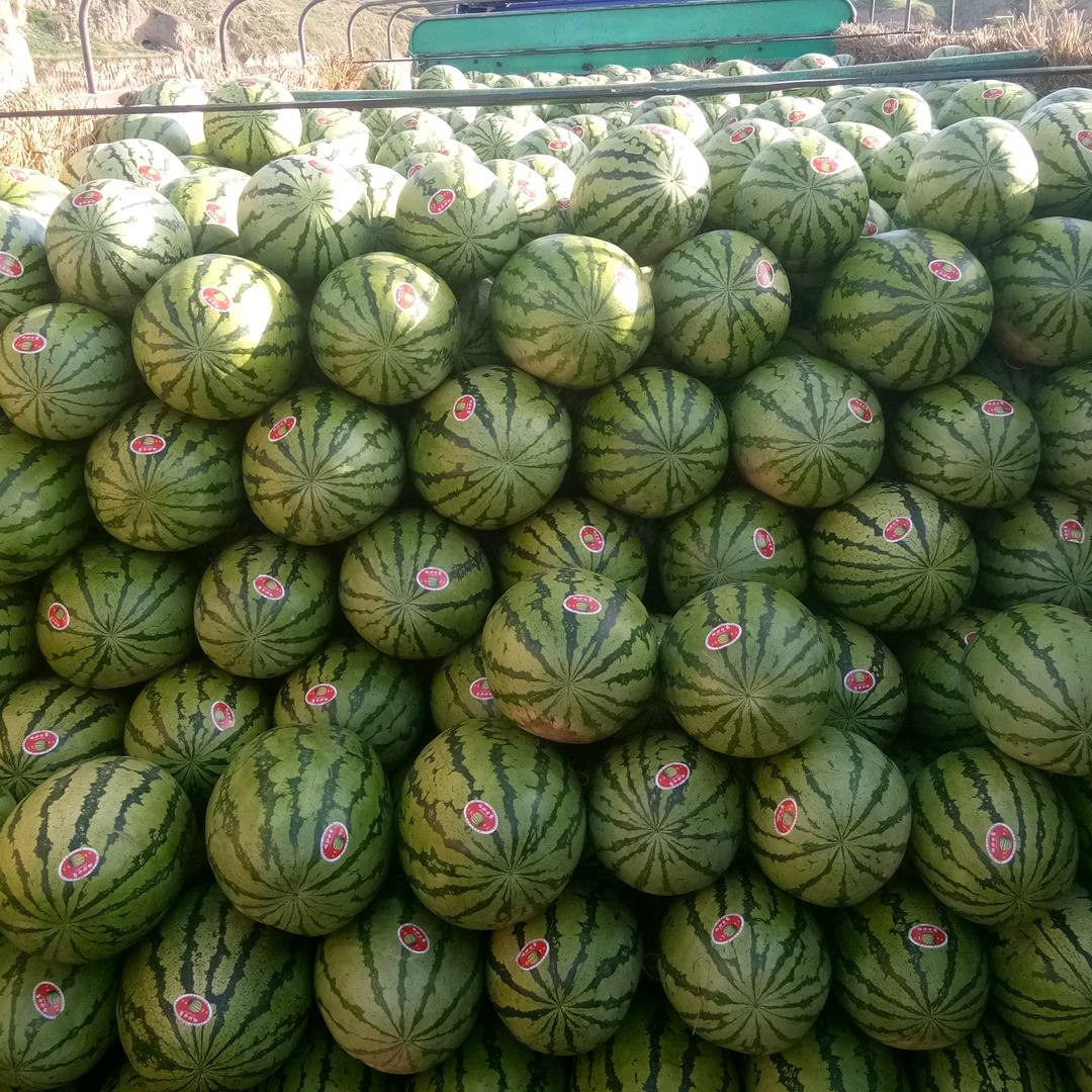 建珍果业
