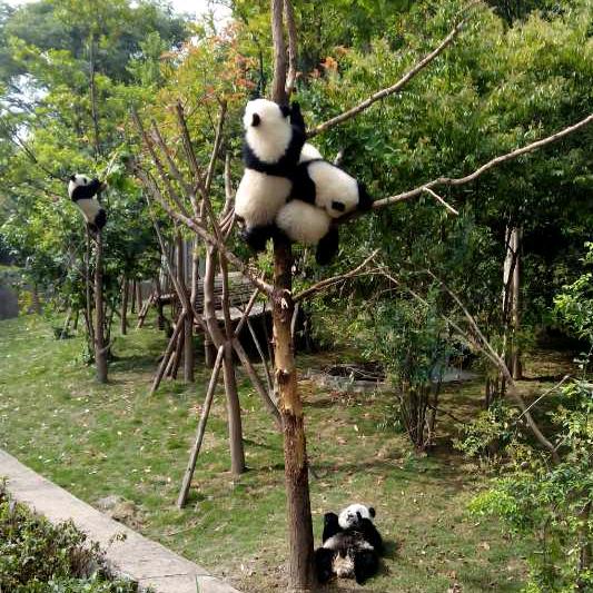 🐠🐠🐠🐠莉🌴🌴🌴🌹🌹?