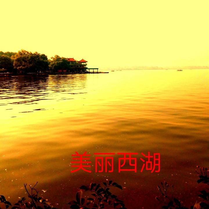 落伍的宝