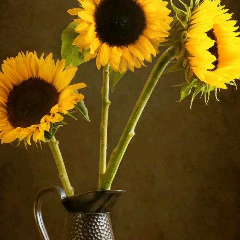 男人简单的快乐