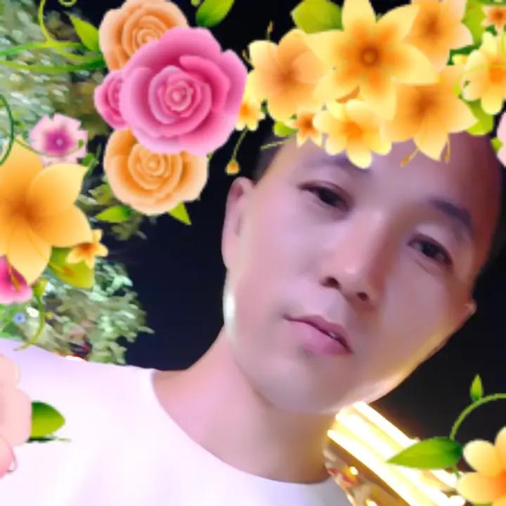 狼行天下