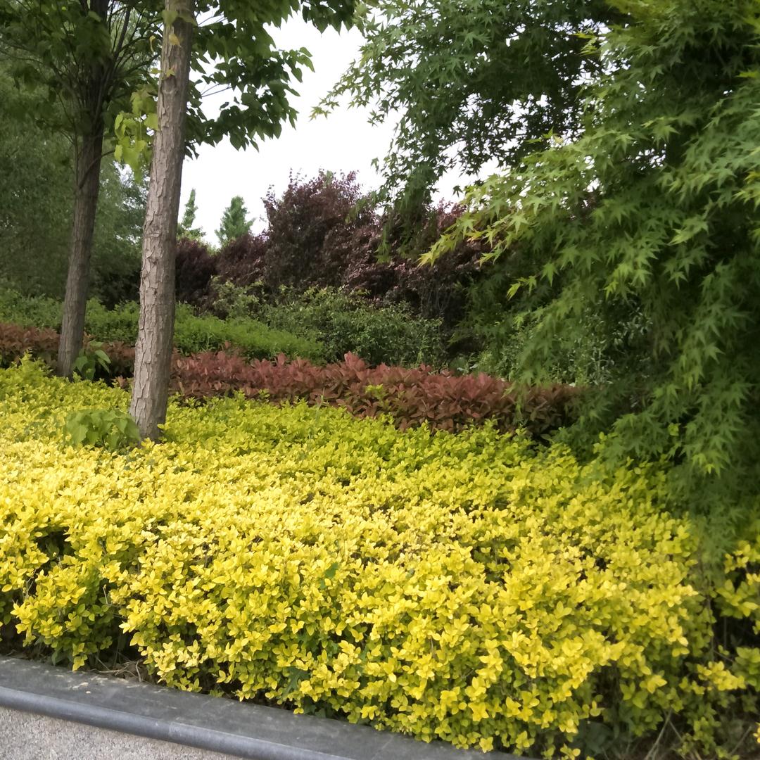 多少故事在心里