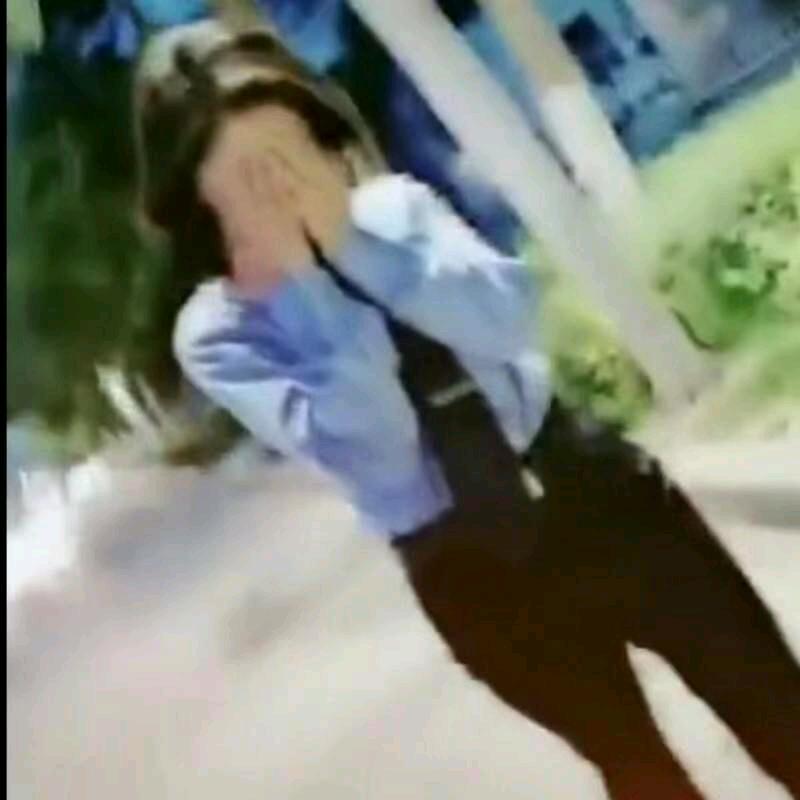 梦