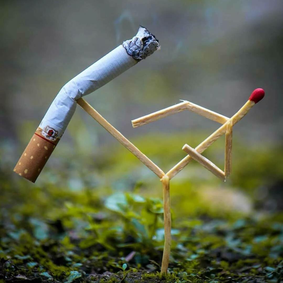 🌈陈先生 ॱଳ͘哇