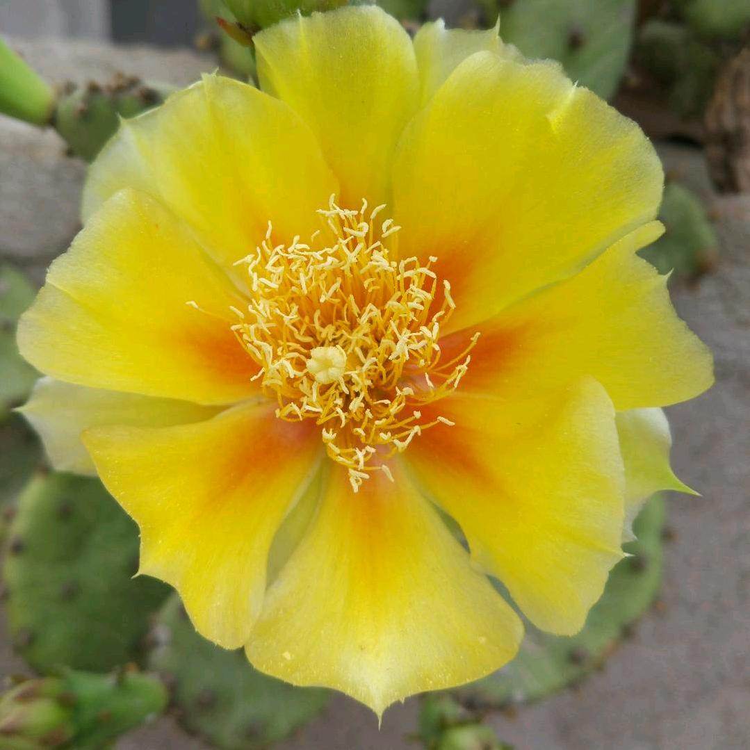 社工小杨～慈心社会工作事务所