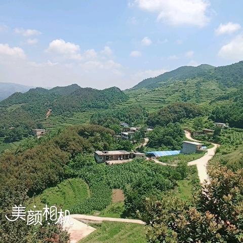 粉红色的回忆。