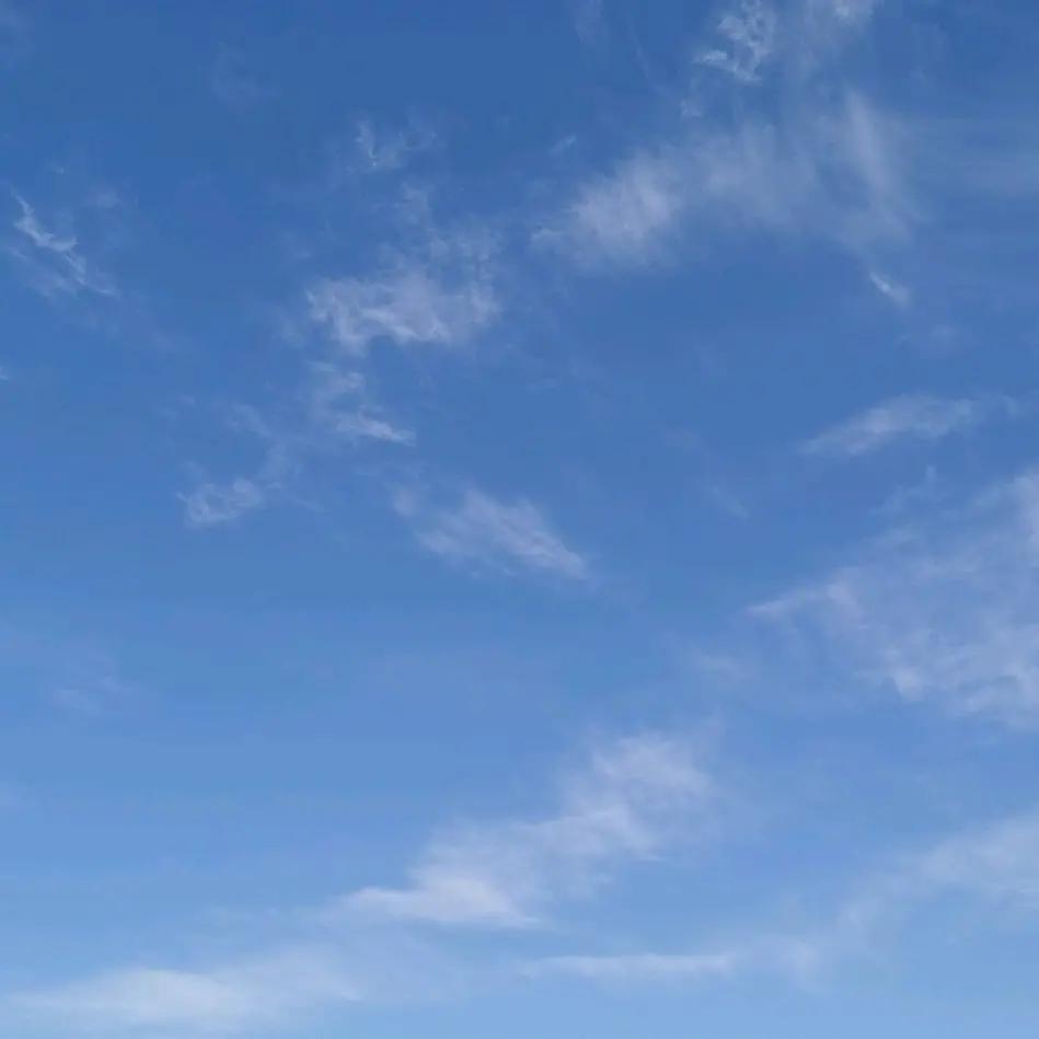 侠客