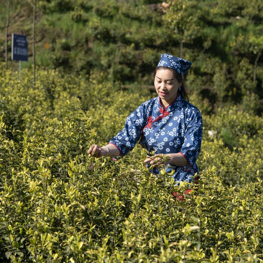 luo丽1111💋🐷᭄᭄