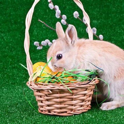 @小小舞台现才艺💃🏻💃🏻💃🏻