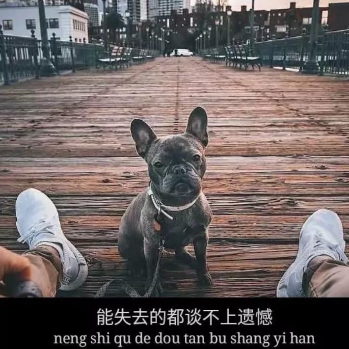 邻居家的哥。