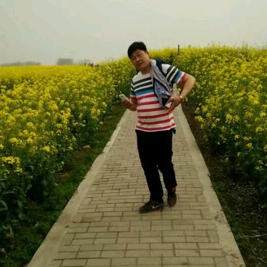 小王子   邢义松