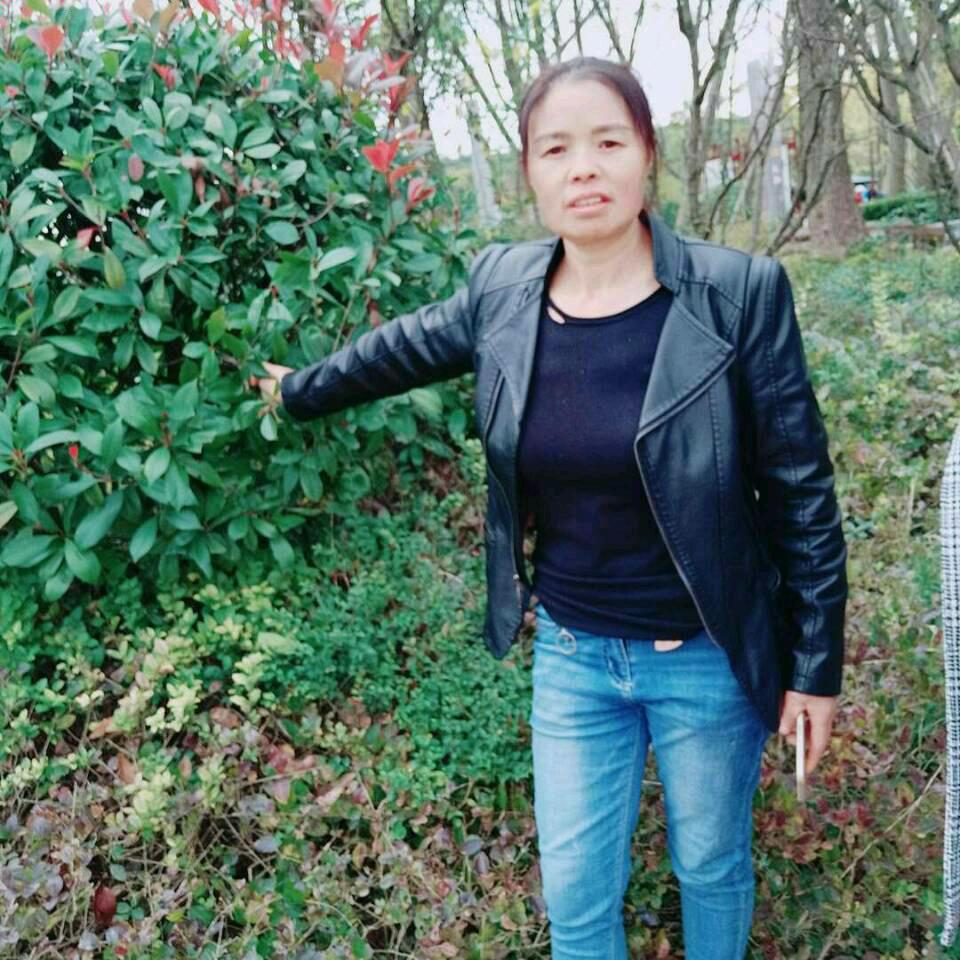 琴琴女