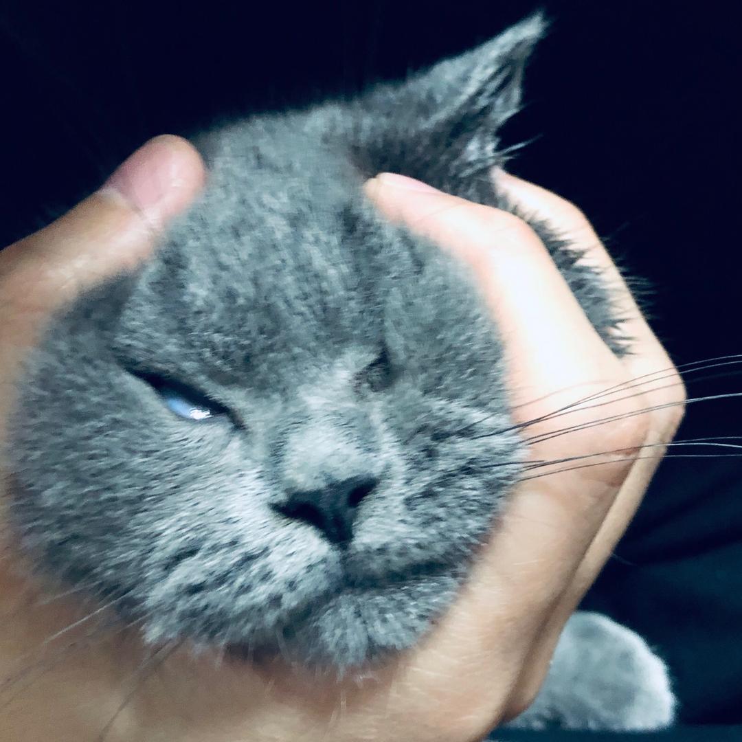 幸运奶糖开积架