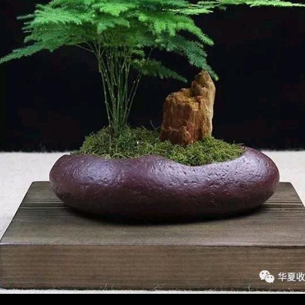 风无裂