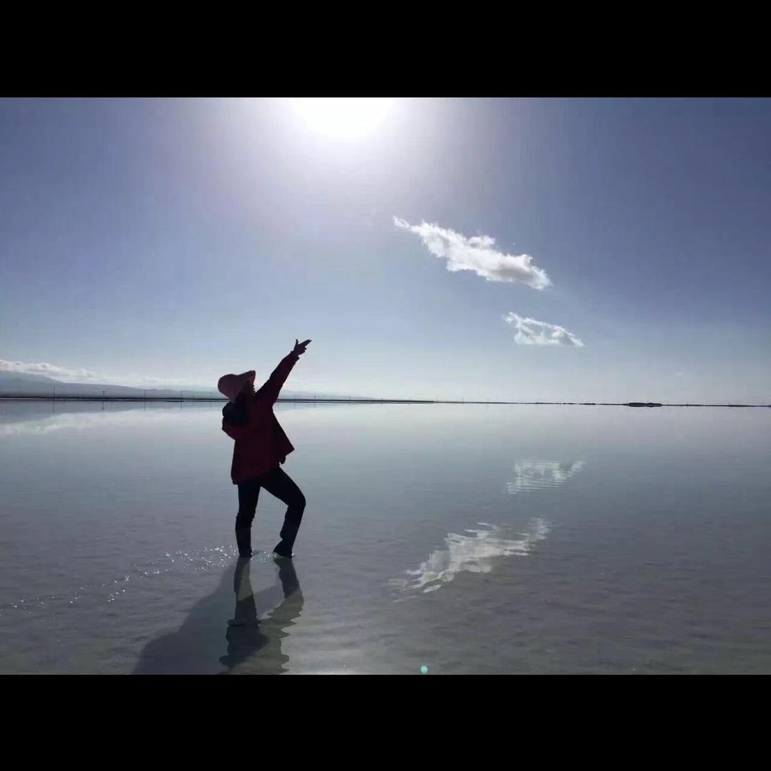 升学规划张老师（单招）