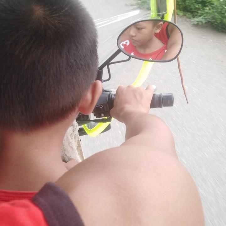 楊梅