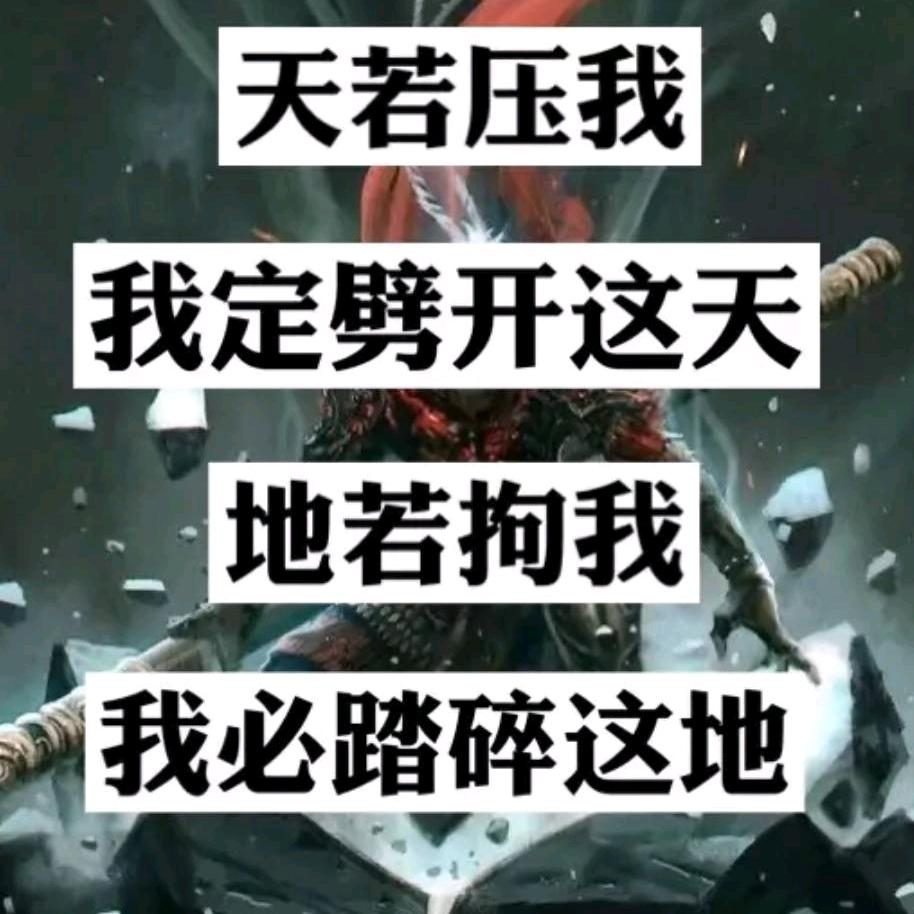 虎之影