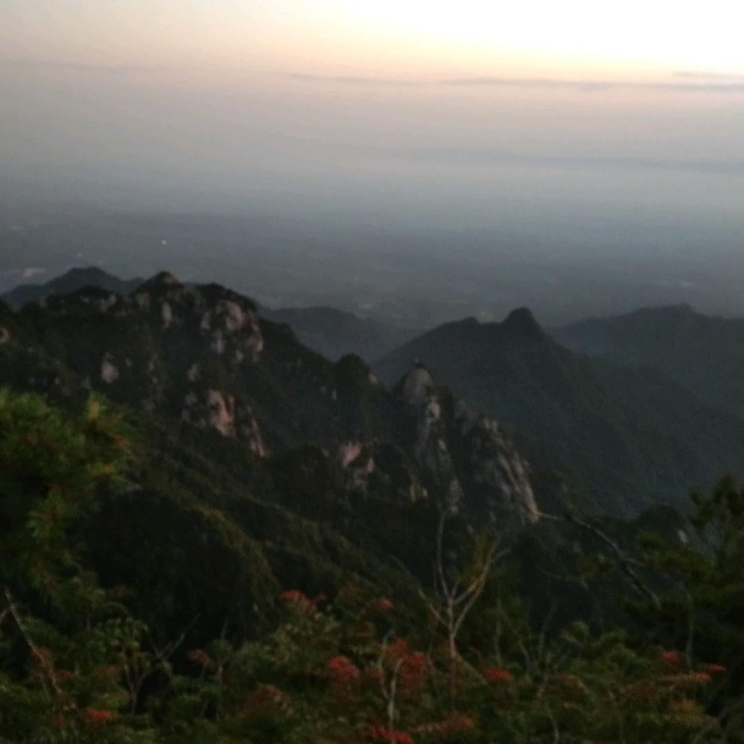 自由人🌲(自娱自乐)