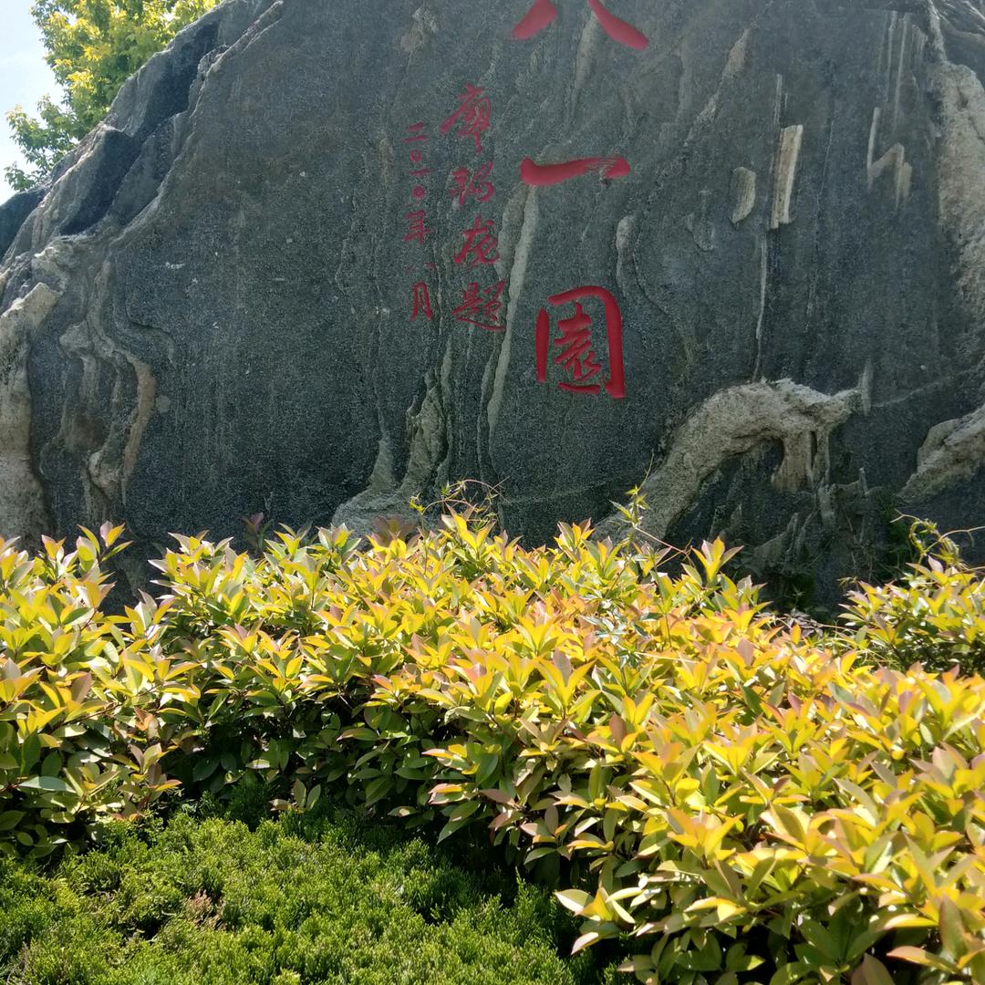 ：在水一方