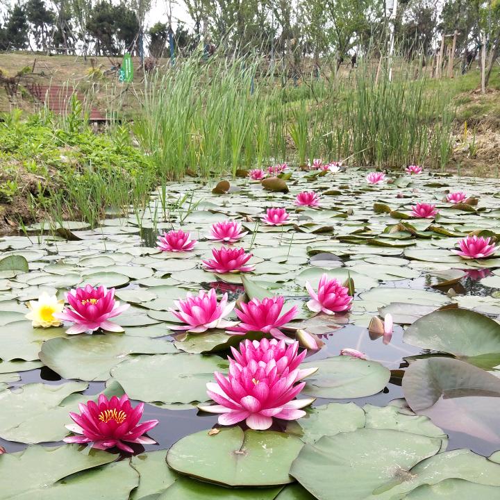 拥有温馨的画面