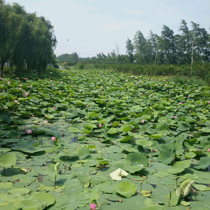 平安是福