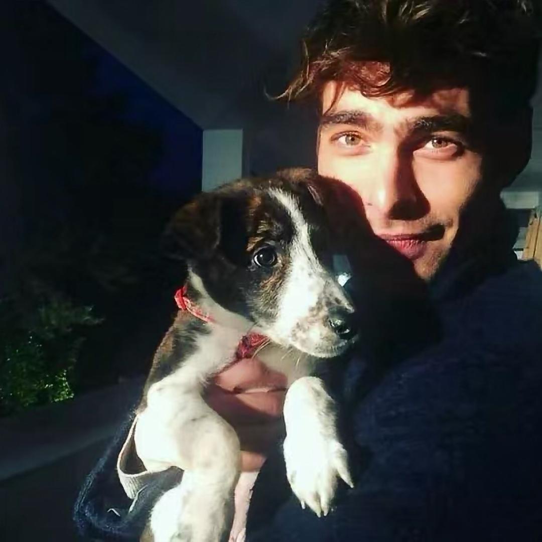 熊猫老师爱健身🏋️