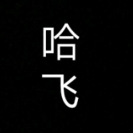 九级哈飞哥