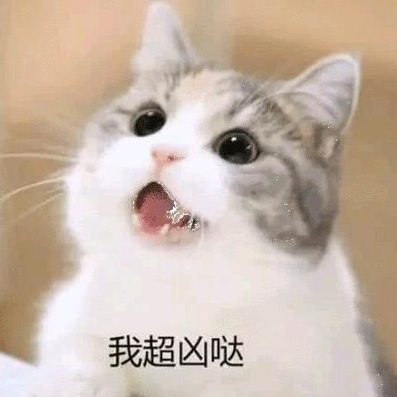 小紫星秀ᵐᵉʳʳ