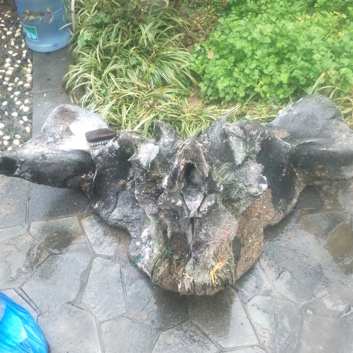 高山小松——益丰废旧物资回收