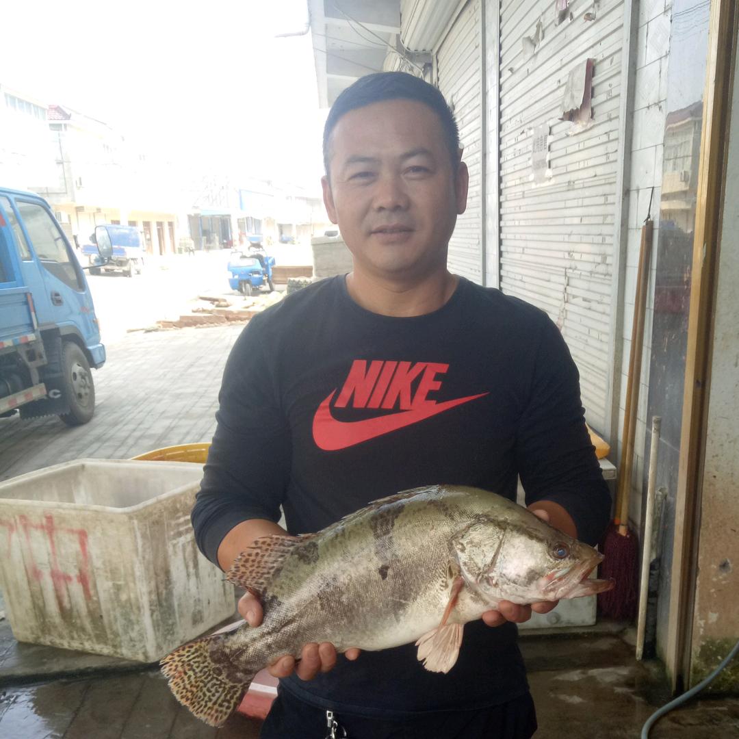 我姓周。却不能带你。周游世界