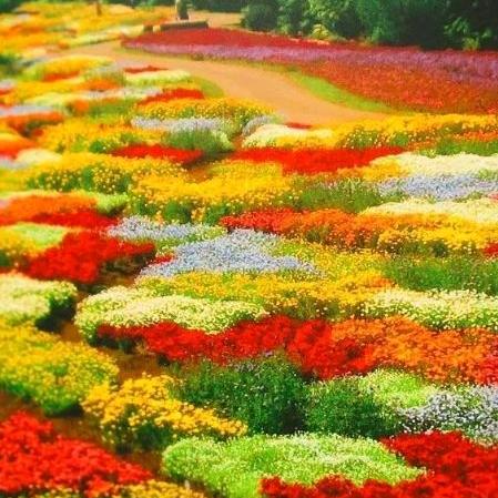 竹外桃花三两只