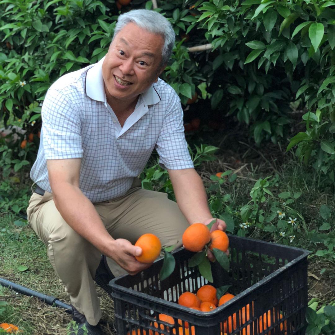 广西柑橘行业协会（许立明主持）