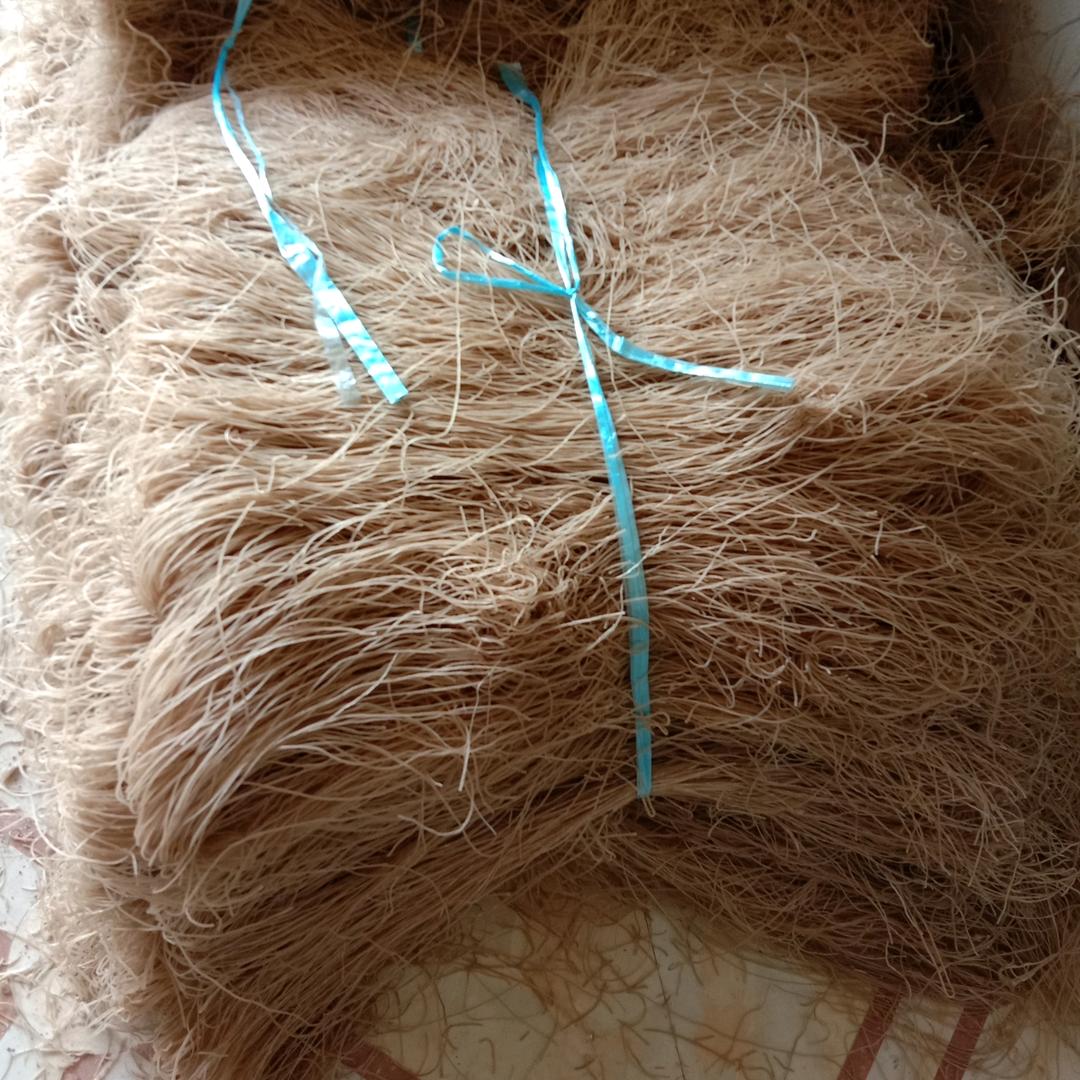 三个孩子的单亲妈妈