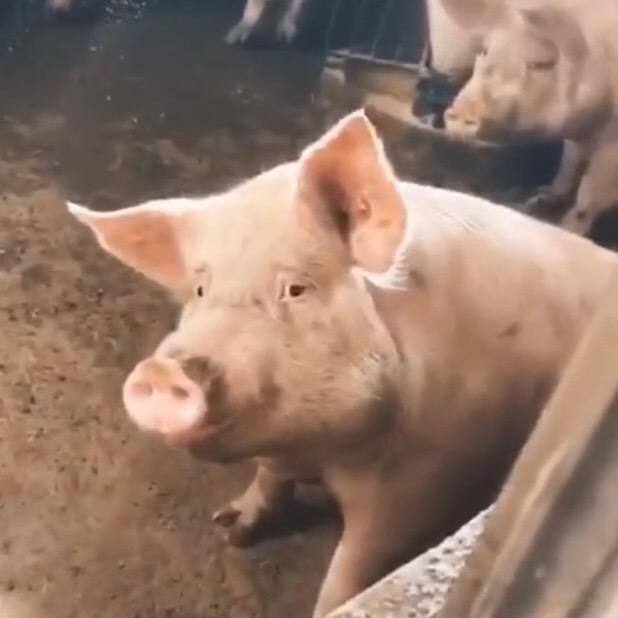 WuLi满月是个小富婆