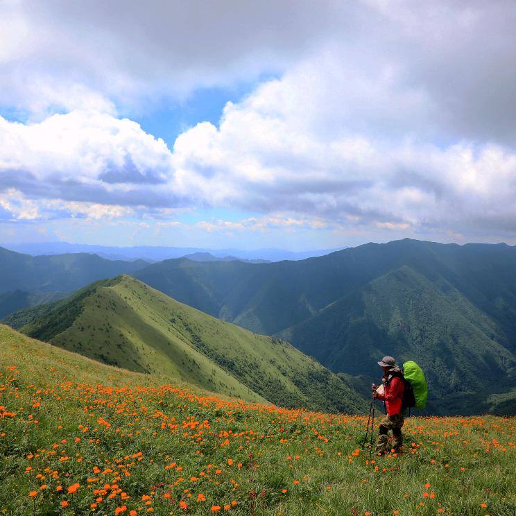 破屋三间书五车