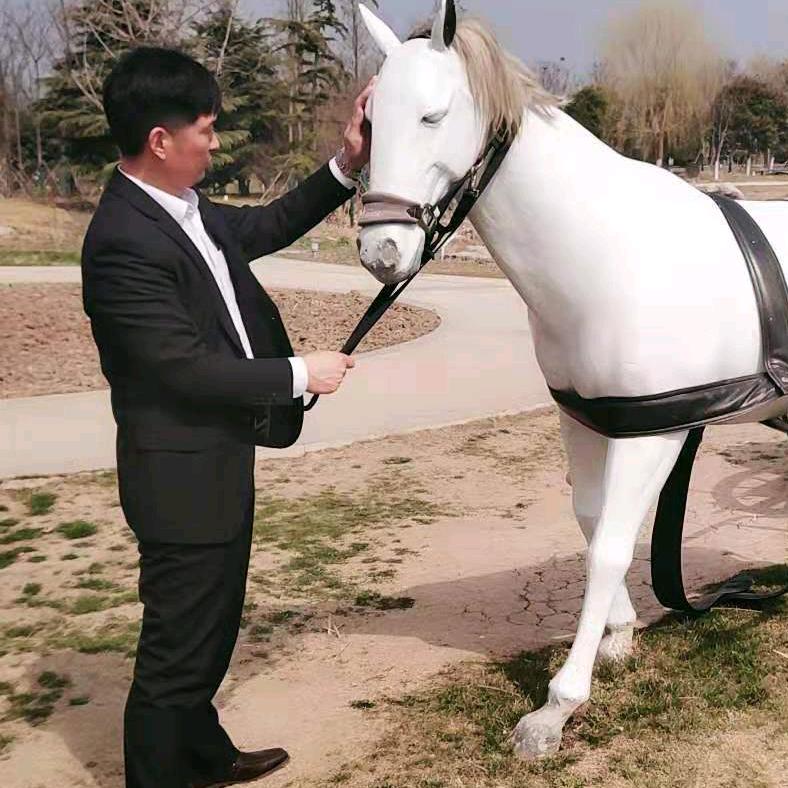 一定要成功！