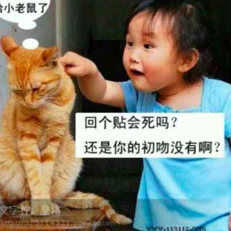 陈晨