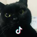 52Hz_