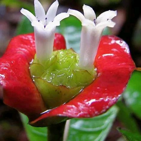 花开花落，，，