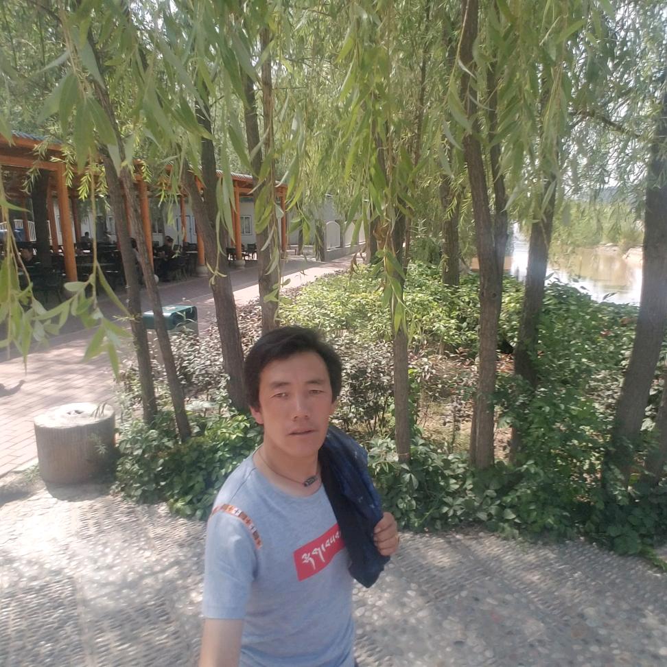巴桑
