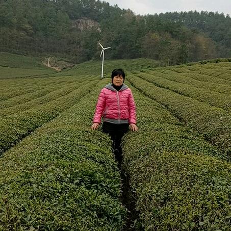 顺其自然