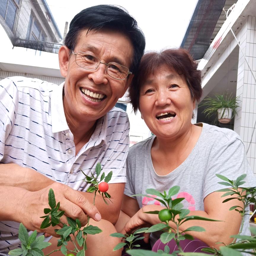 二傻根雕