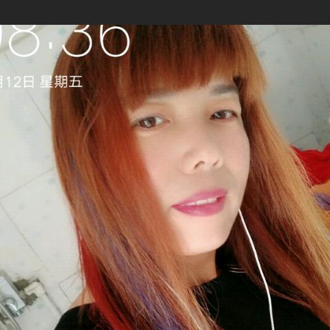 《河南云姐》