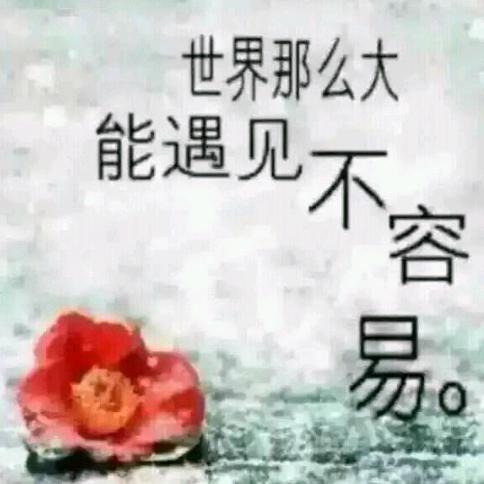 随缘（互赞不互关）