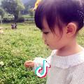 黑白