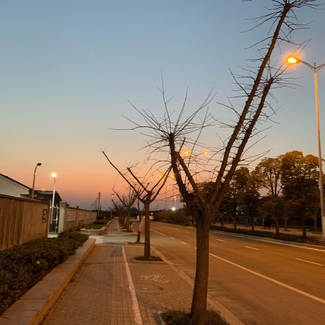那年芳华