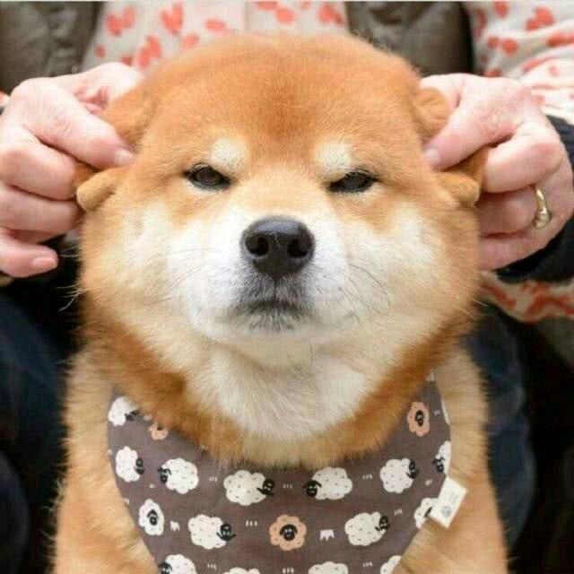 姹紫嫣红