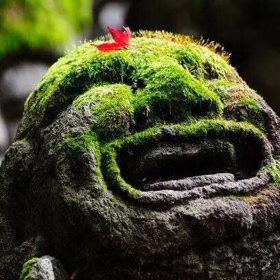 造景师 吴欣之